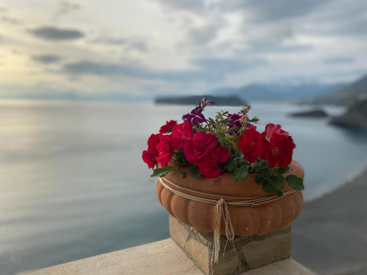 B&B Villa La Petra San Nicola Arcella Exterior photo